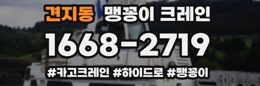 견지동 맹꽁이 크레인