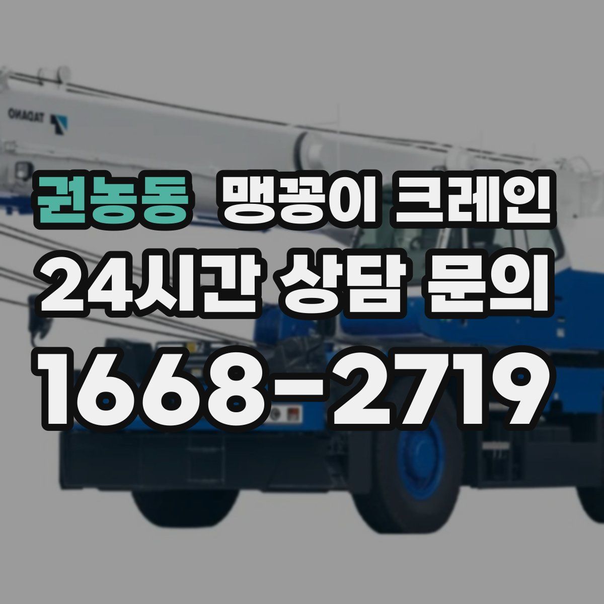 권농동 맹꽁이 크레인