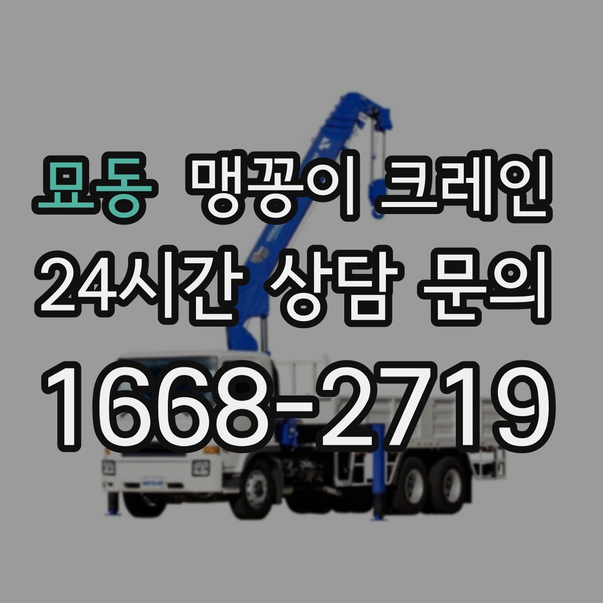 묘동 맹꽁이 크레인