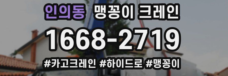 인의동 맹꽁이 크레인