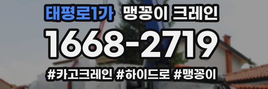 태평로1가 맹꽁이 크레인