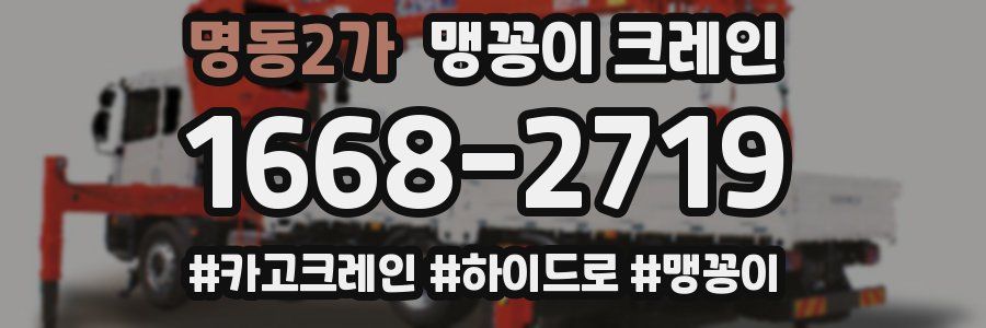 명동2가 맹꽁이 크레인