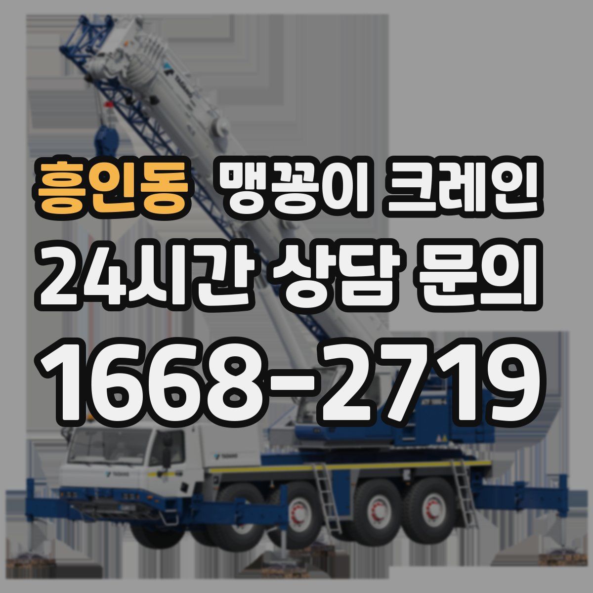 흥인동 맹꽁이 크레인