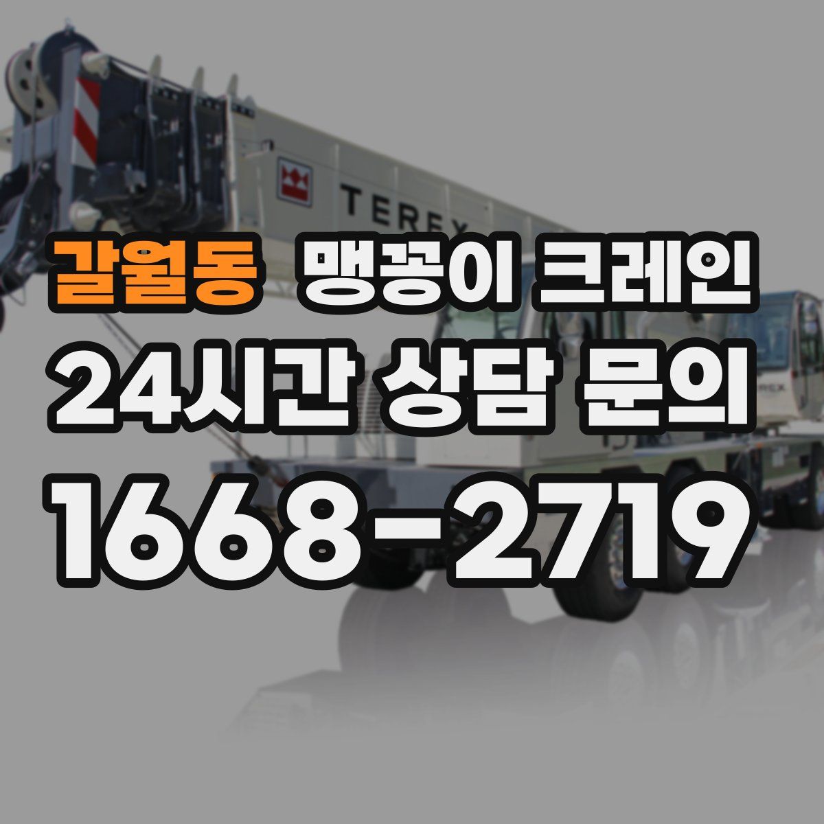 갈월동 맹꽁이 크레인