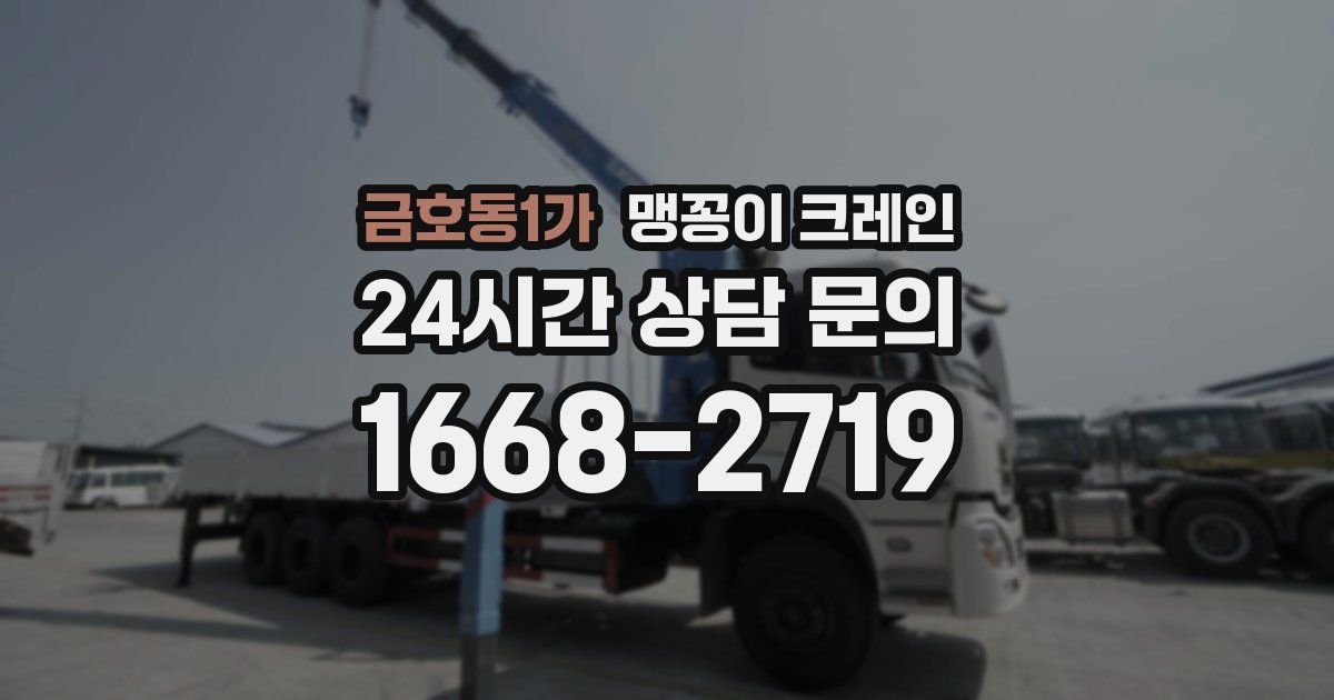 금호동1가 맹꽁이 크레인