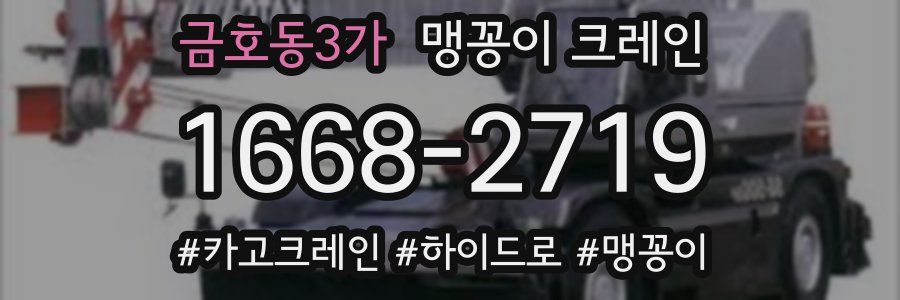금호동3가 맹꽁이 크레인