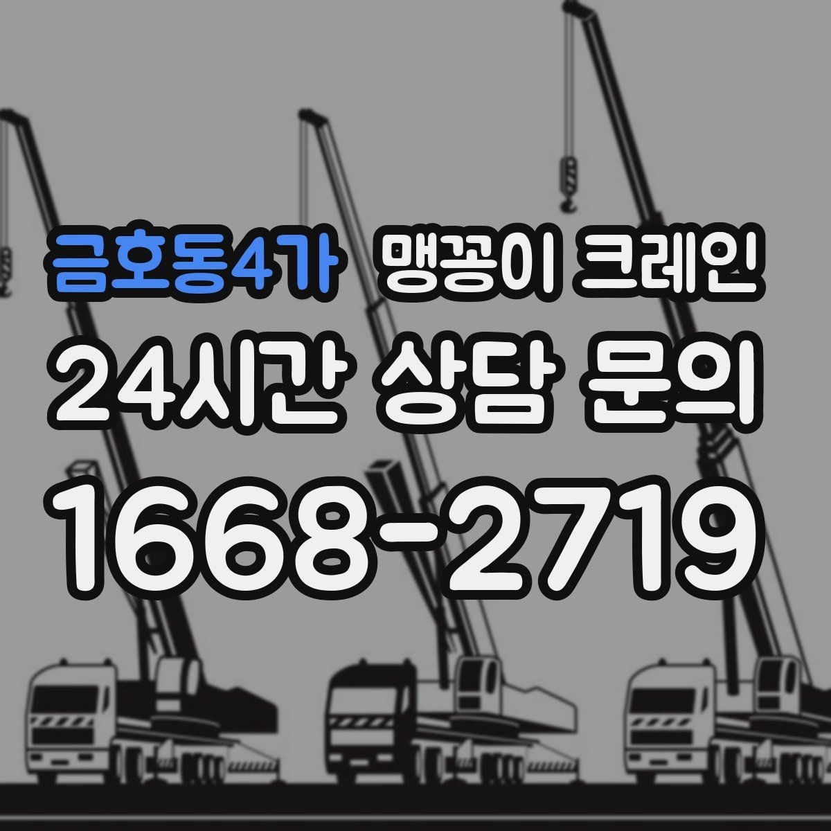 금호동4가 맹꽁이 크레인 출입로 폭·높이 측정이 필요한 이유