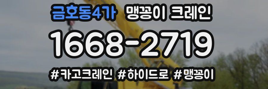 금호동4가 맹꽁이 크레인