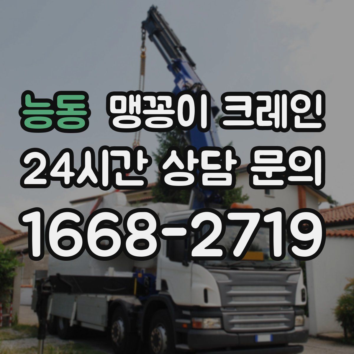 능동 맹꽁이 크레인