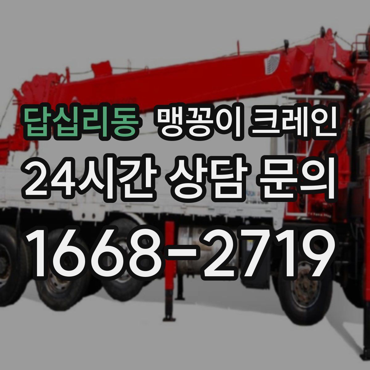 답십리동 맹꽁이 크레인