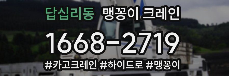 답십리동 맹꽁이 크레인