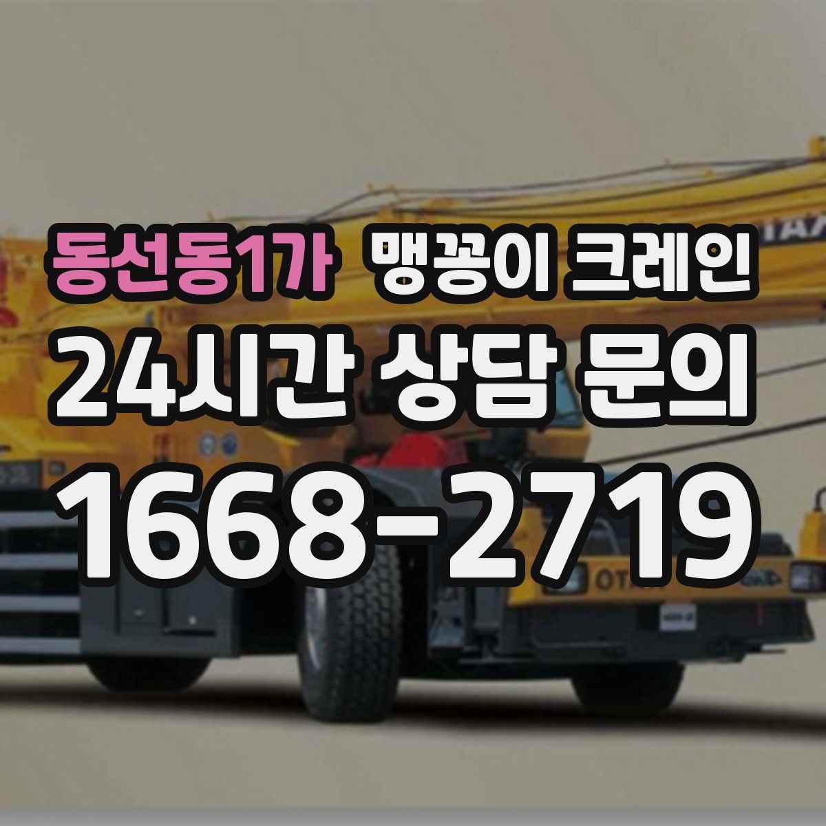 동선동1가 맹꽁이 크레인