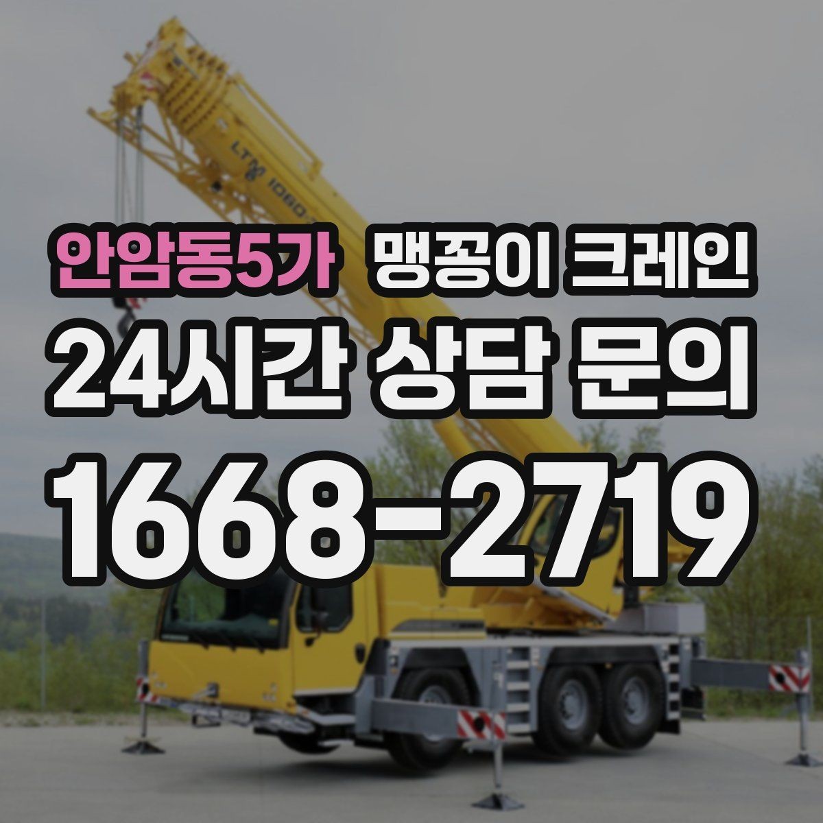 안암동5가 맹꽁이 크레인 신호수·보조 인력 협의가 필요한 케이스