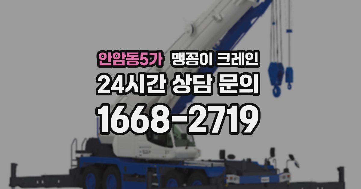 안암동5가 맹꽁이 크레인