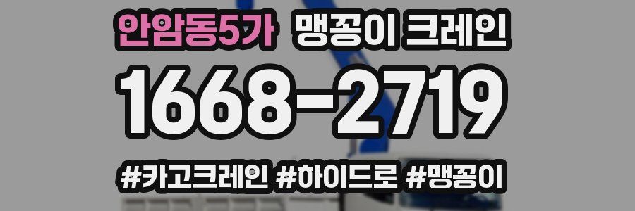 안암동5가 맹꽁이 크레인