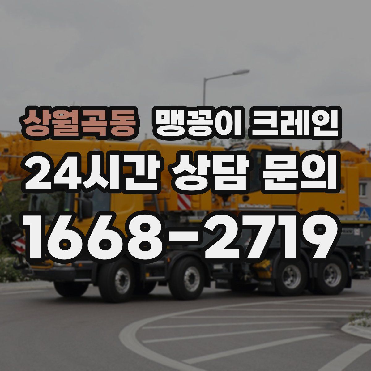 상월곡동 맹꽁이 크레인