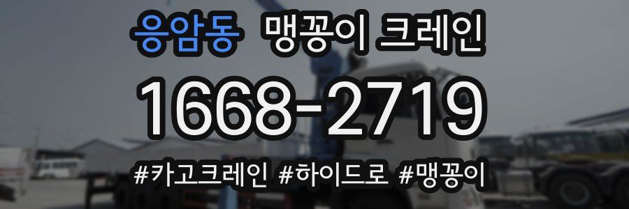 응암동 맹꽁이 크레인