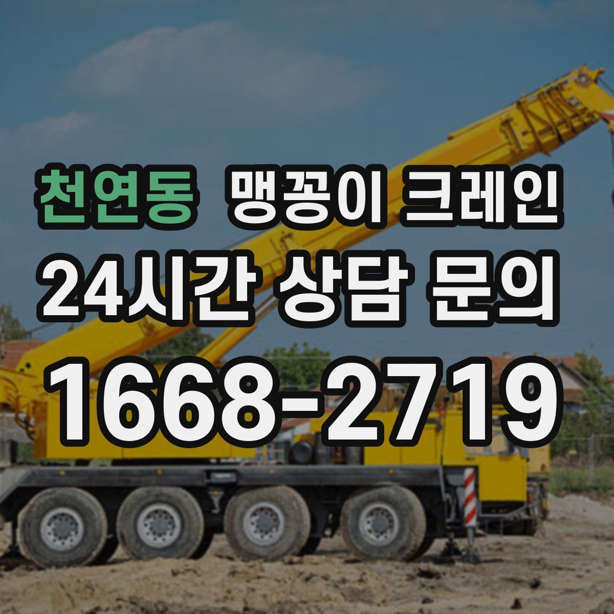 천연동 맹꽁이 크레인