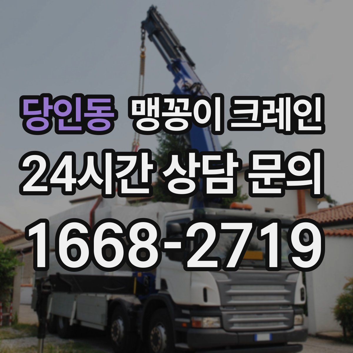 당인동 맹꽁이 크레인