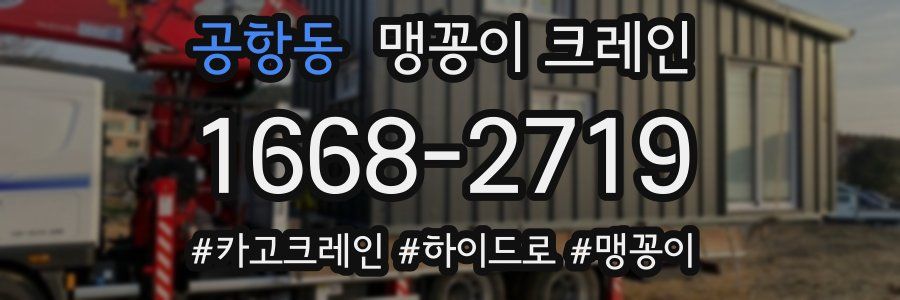 공항동 맹꽁이 크레인