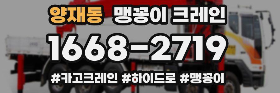 양재동 맹꽁이 크레인