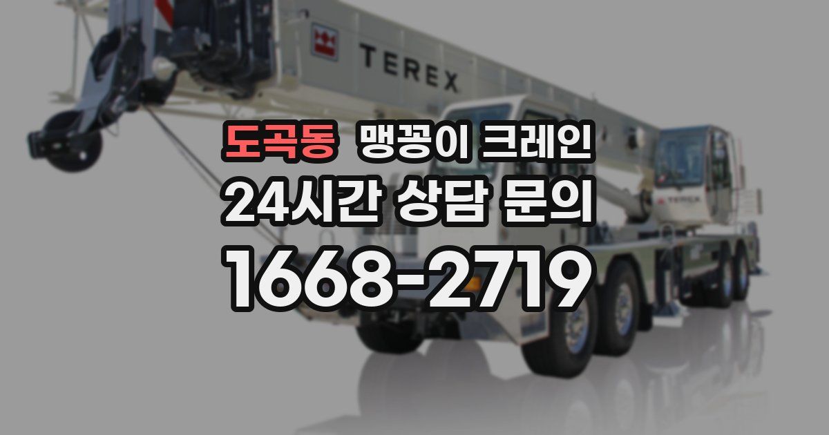 도곡동 맹꽁이 크레인