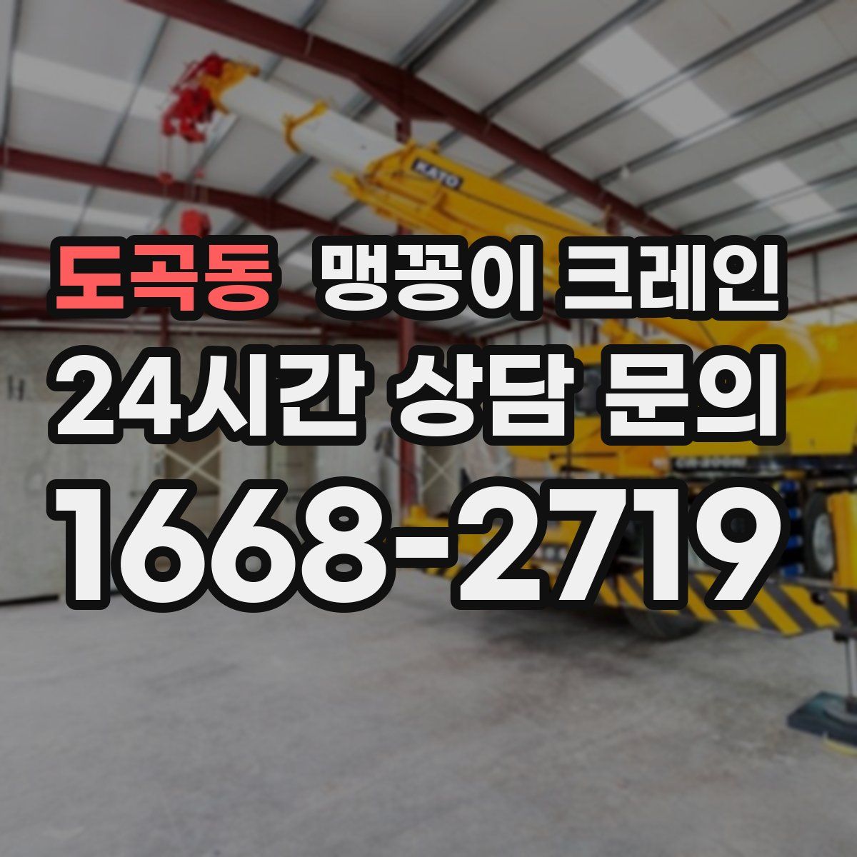 도곡동 맹꽁이 크레인