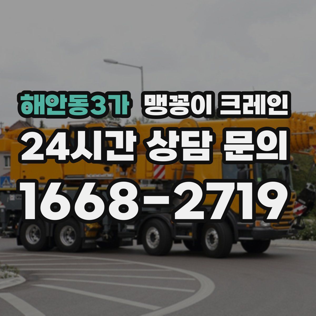 해안동3가 맹꽁이 크레인