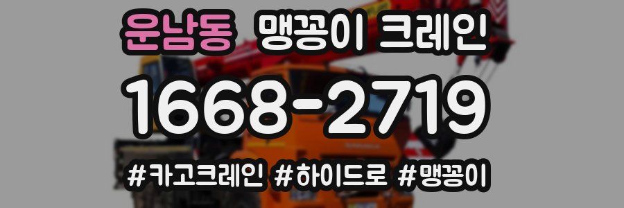 운남동 맹꽁이 크레인