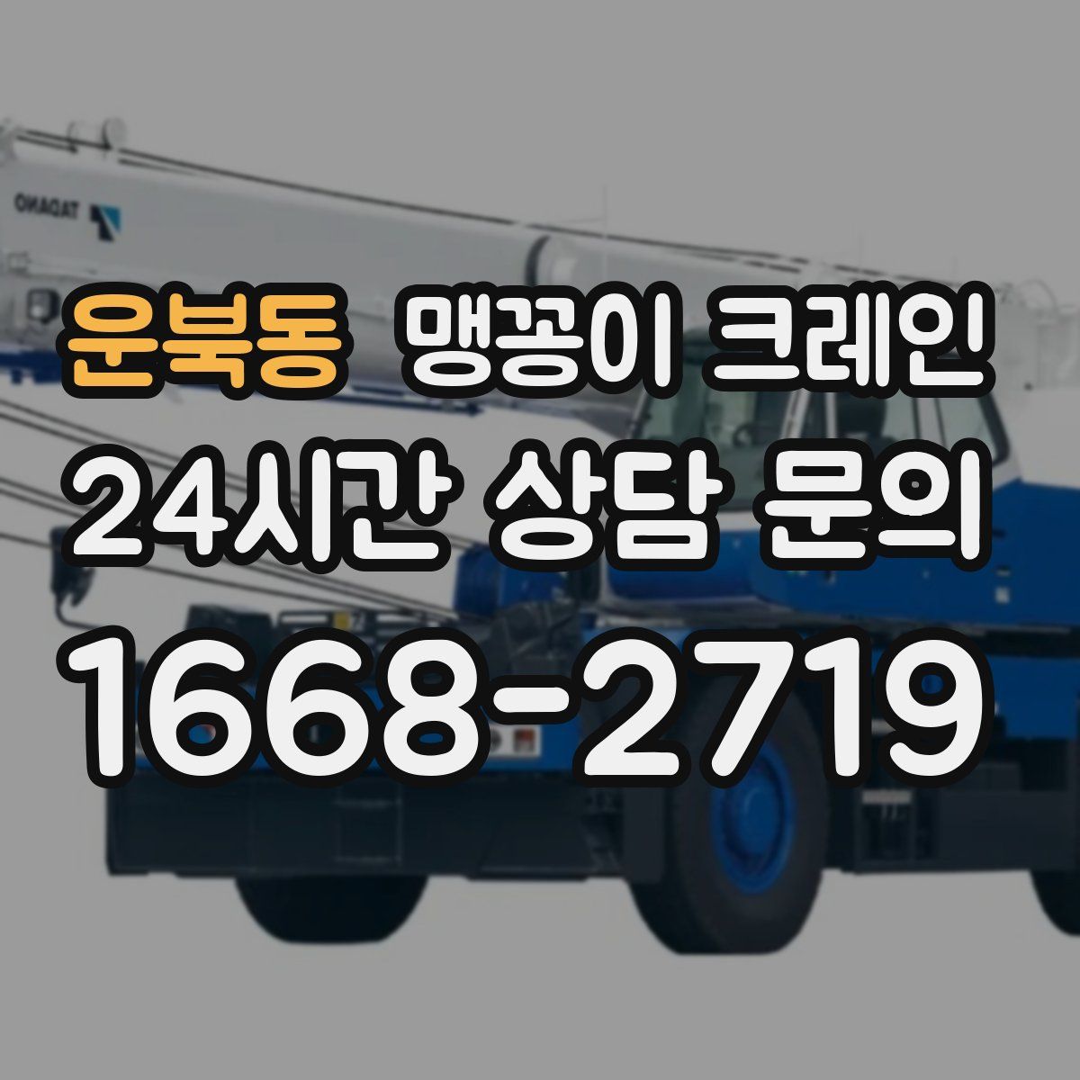 운북동 맹꽁이 크레인