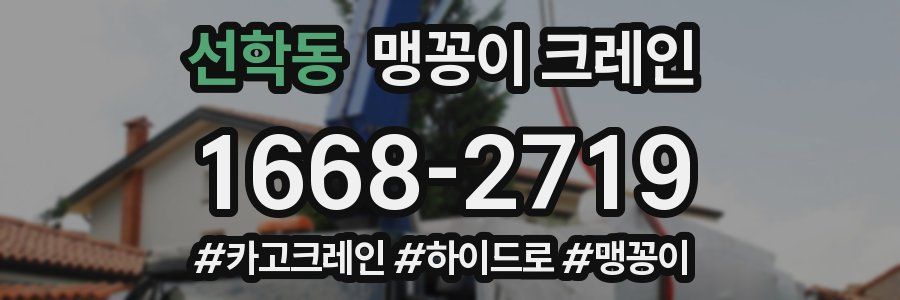 선학동 맹꽁이 크레인