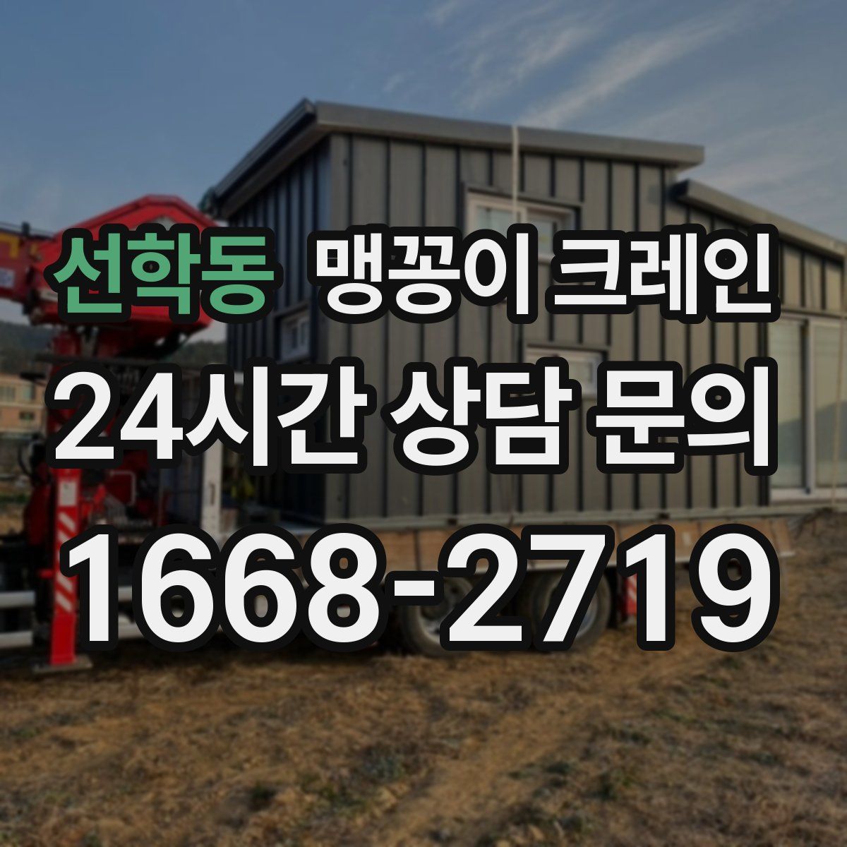 선학동 맹꽁이 크레인