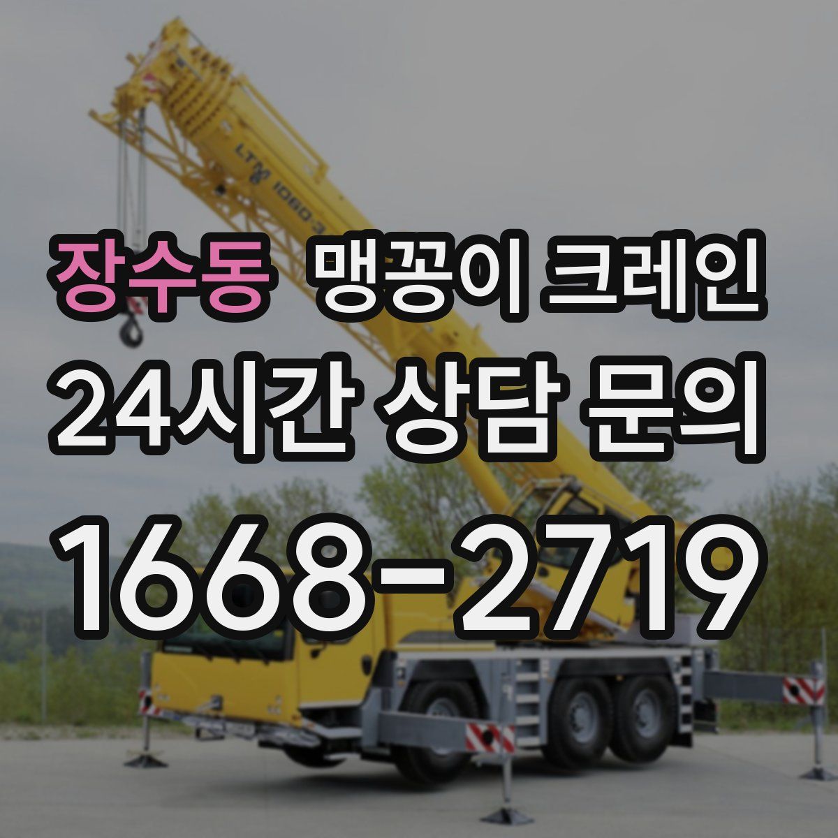 장수동 맹꽁이 크레인