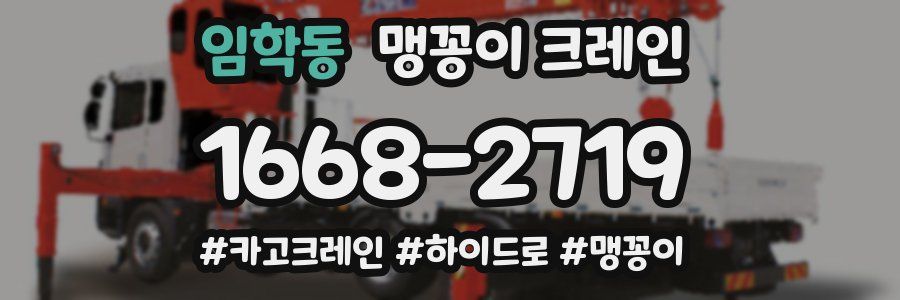 임학동 맹꽁이 크레인
