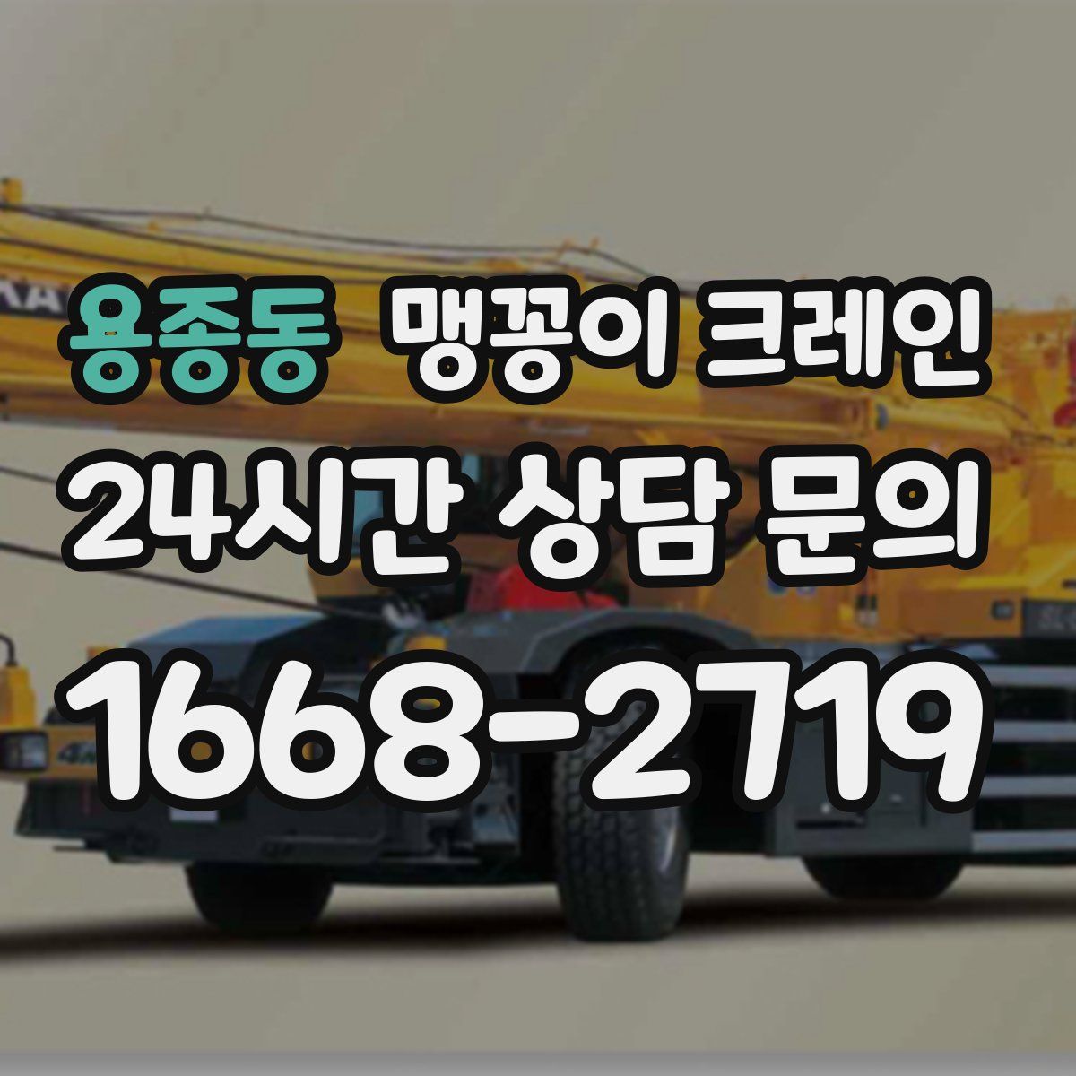 용종동 맹꽁이 크레인
