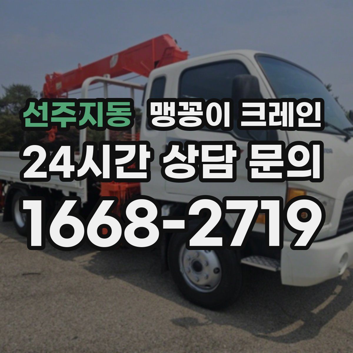 선주지동 맹꽁이 크레인