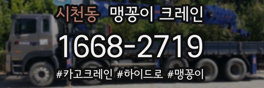 시천동 맹꽁이 크레인