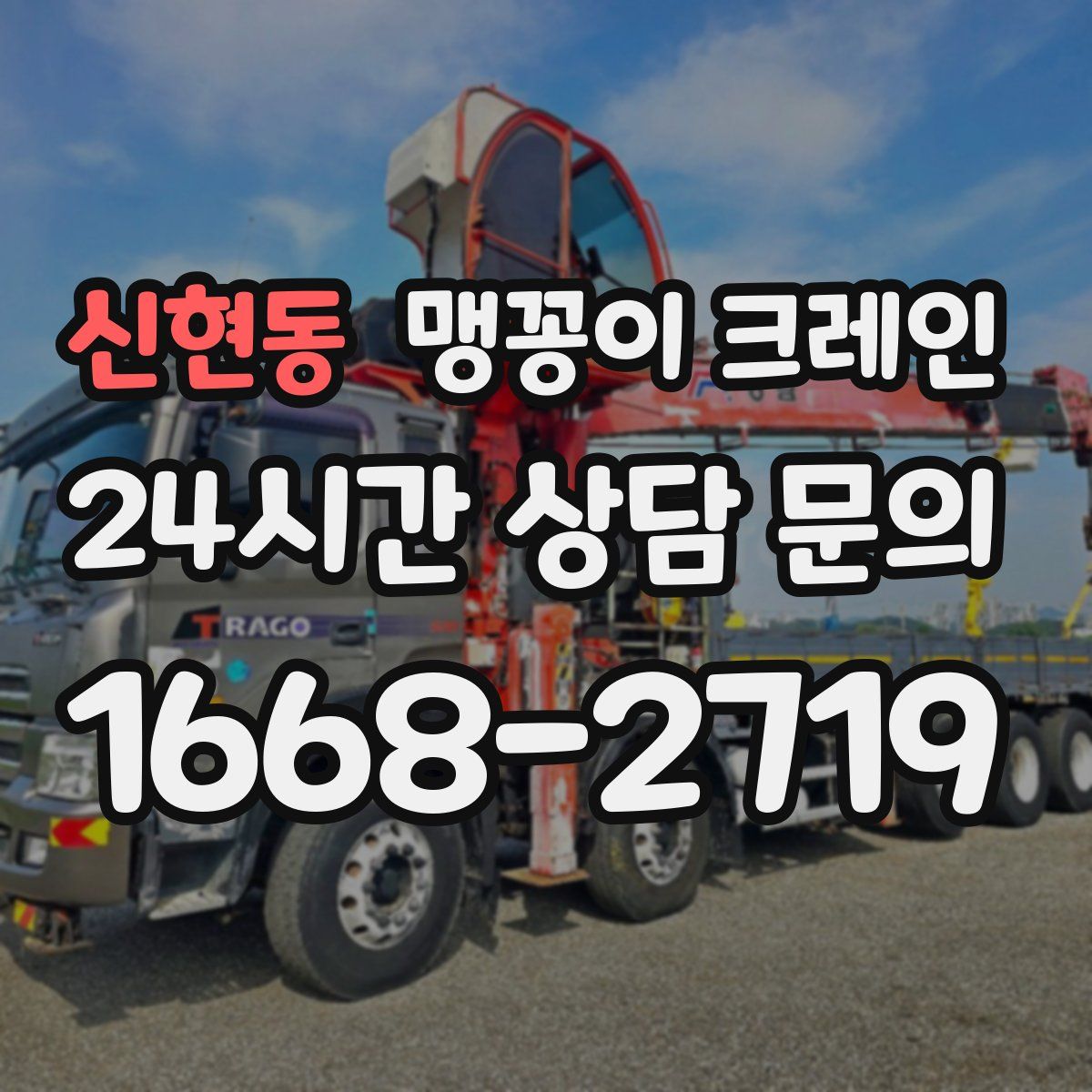 신현동 맹꽁이 크레인