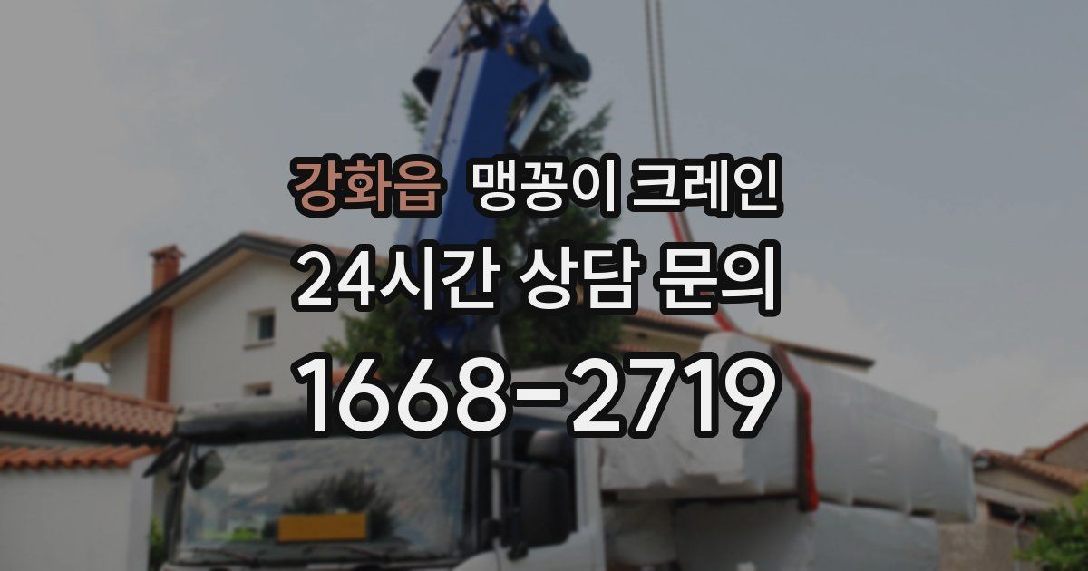 강화읍 맹꽁이 크레인