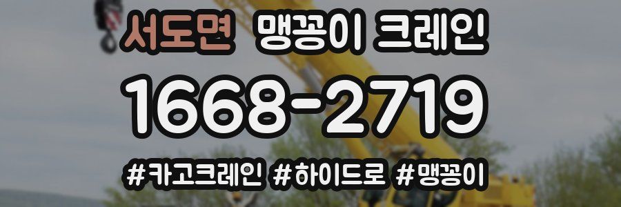 서도면 맹꽁이 크레인