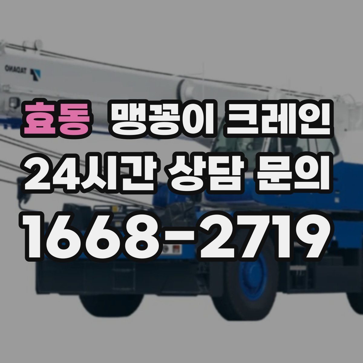 효동 맹꽁이 크레인