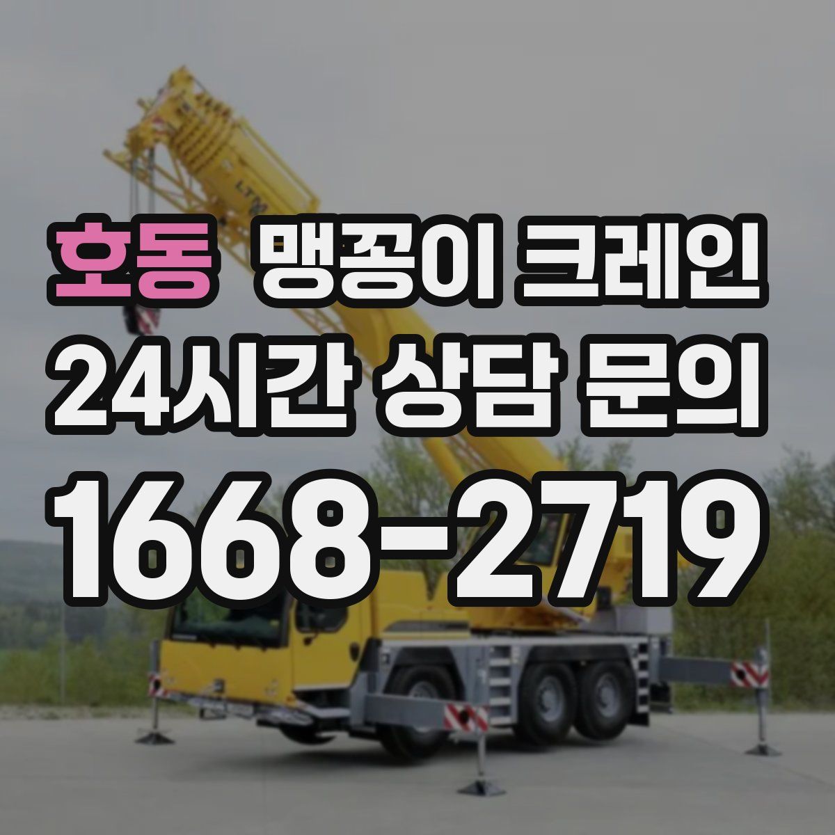 호동 맹꽁이 크레인