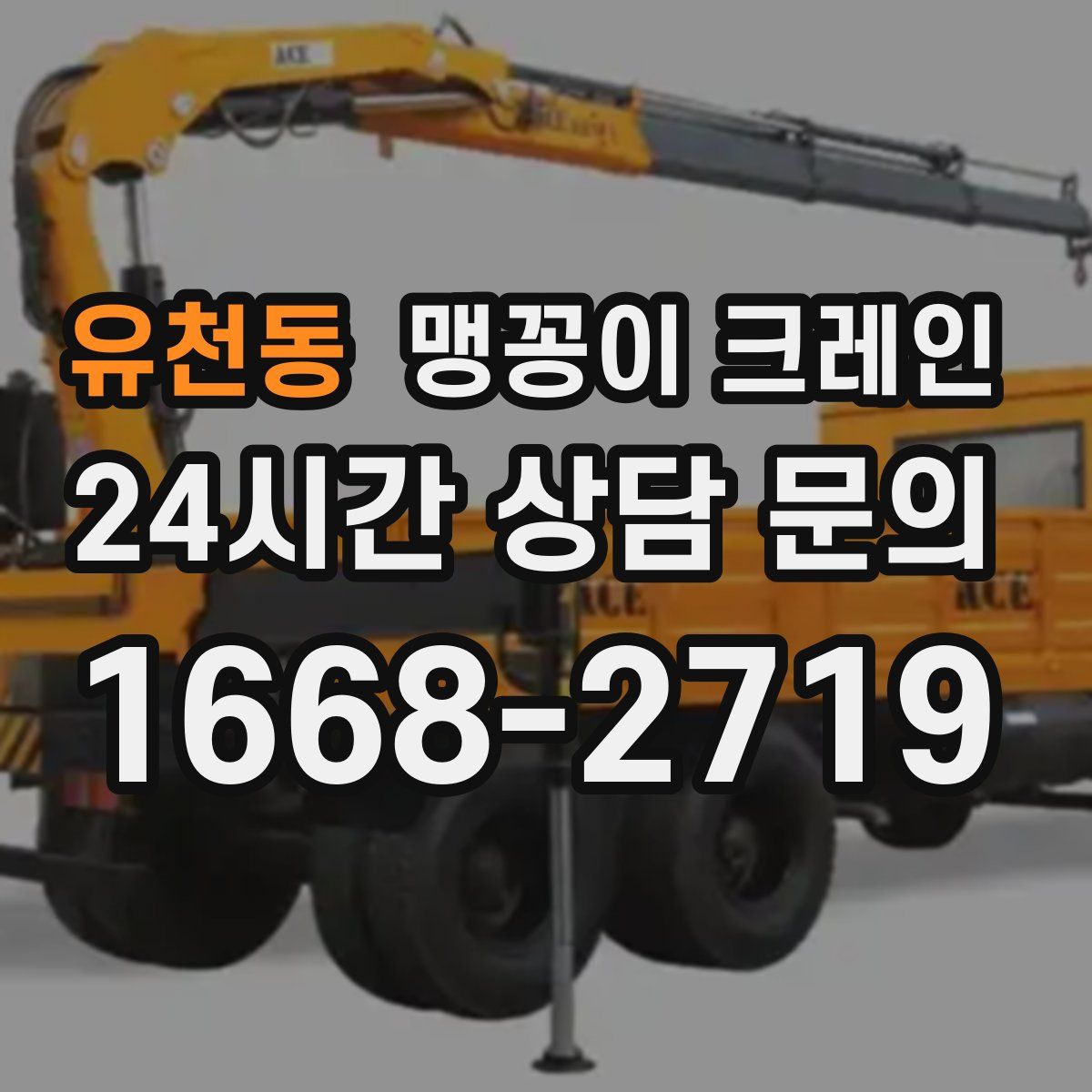 유천동 맹꽁이 크레인