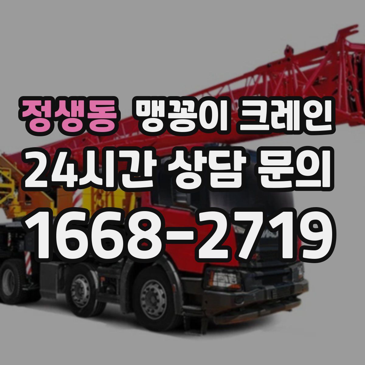 정생동 맹꽁이 크레인