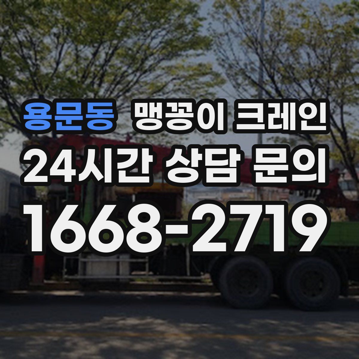 용문동 맹꽁이 크레인