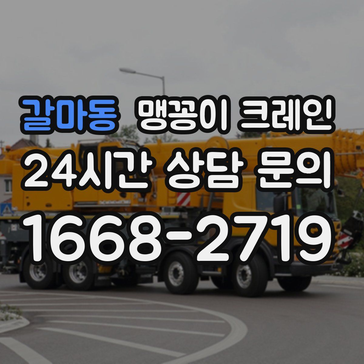 갈마동 맹꽁이 크레인