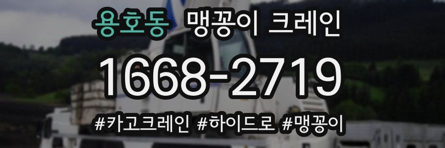 용호동 맹꽁이 크레인