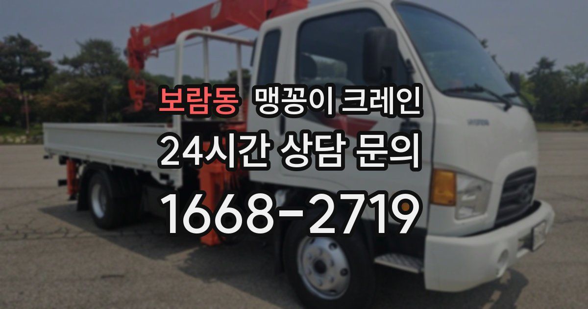 보람동 맹꽁이 크레인