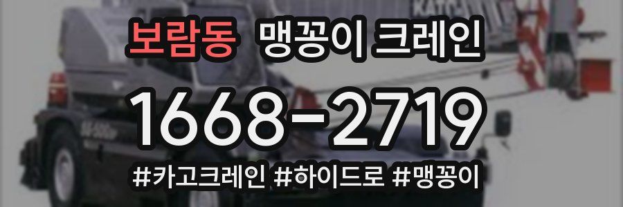 보람동 맹꽁이 크레인