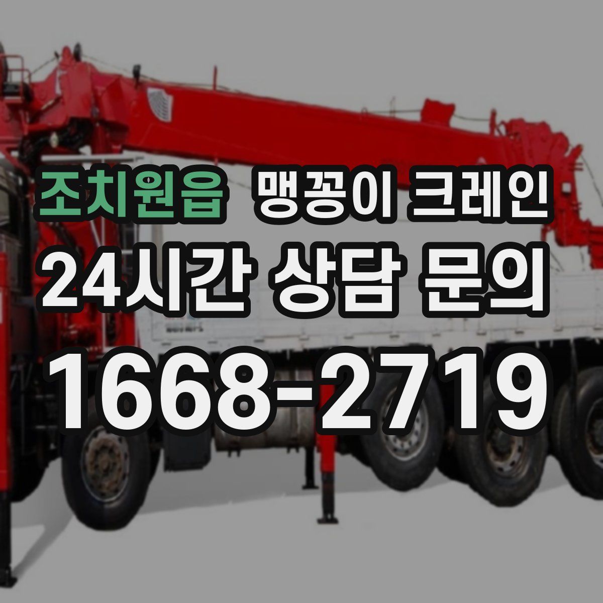 조치원읍 맹꽁이 크레인